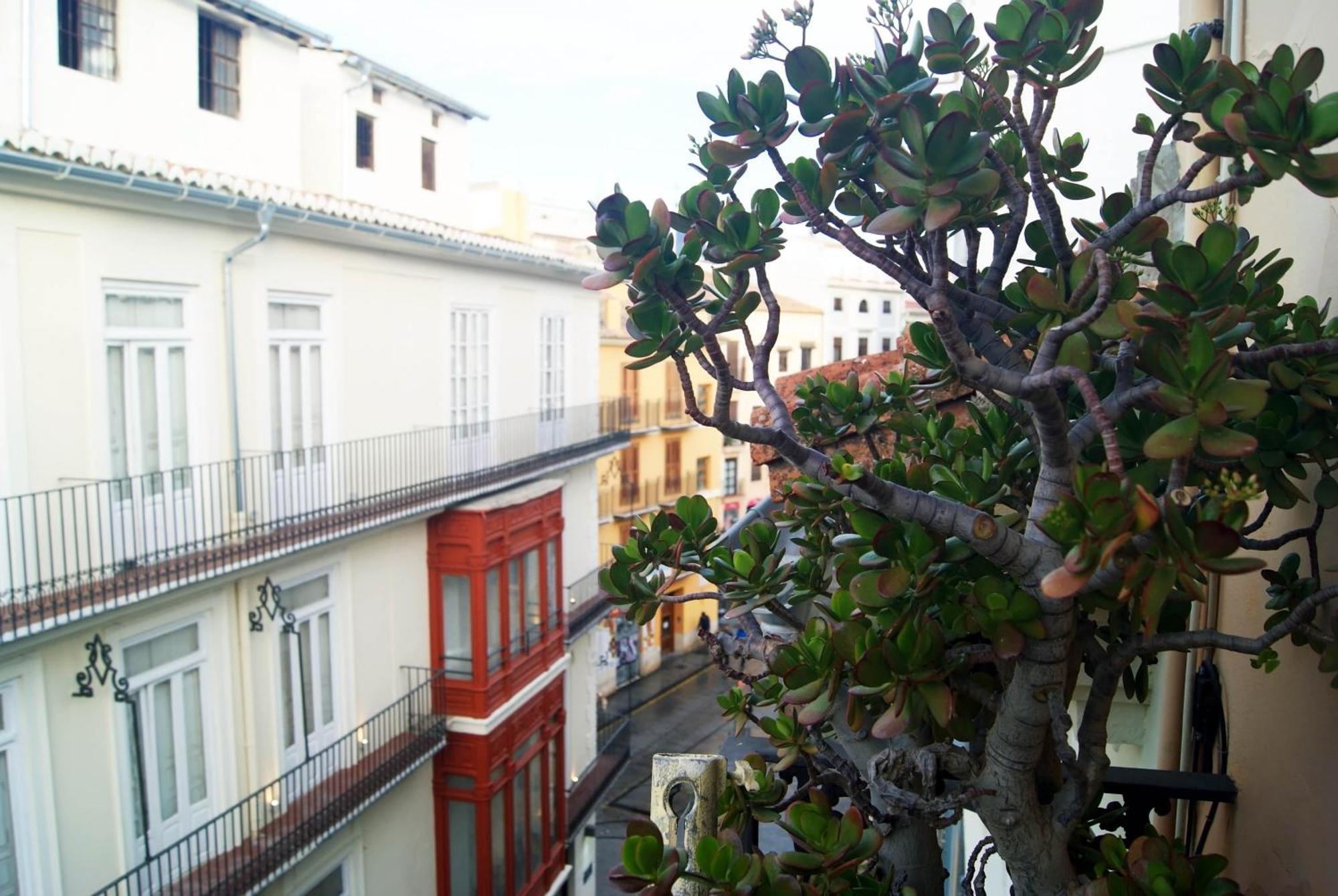 Bolseria Centricos Apartamentos En El Carmen Valencia Eksteriør bilde